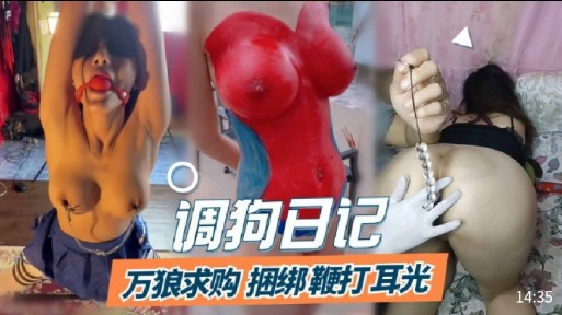 调狗日记万狼求购 捆绑鞭打耳光